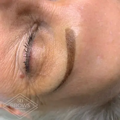 Eyebrow shading Ombre brows